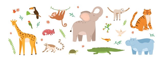 Set of cute jungle animals. Collection of exotic tropical birds, tiger, giraffe, monkey, chameleon and turtle. Childish characters. Colored flat vector illustration isolated on white background