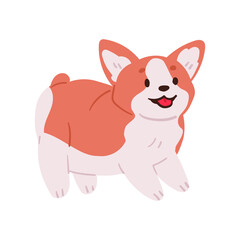 The cute Welsh Corgi wags its tail and greets you. Pet vector illustration.