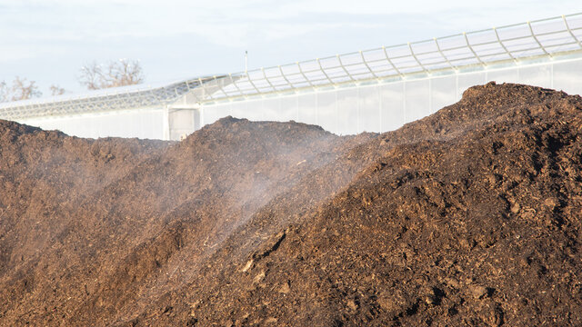 Tas de compost pour agriculture.