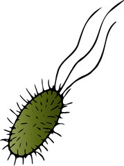 Illustration bacteria
