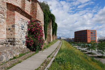 Fototapeta na wymiar Stadtmauer in Rostock mit karl-planeth-weg