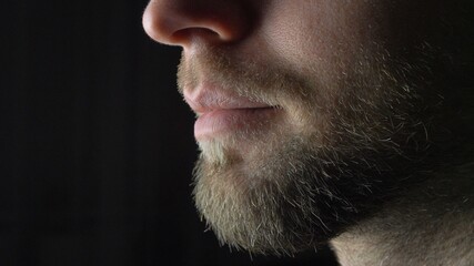 Obraz premium Bearded Caucasian Man Putting on Surgical Mask on Black Background Close Up