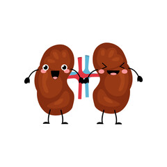 Happy smiling  cute kidneys  organ character in a flat cartoon style. Vector kawaii illustration isolated on white background