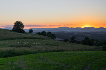 Fototapeta na wymiar Summer sunset over the meadows