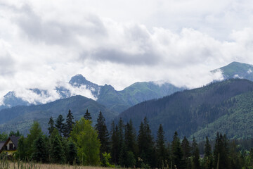 Summer view of the Polish Tatra Mountains