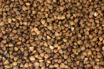 Fresh cereals, brown buckwheat risen in plastic container and white background with interesting lighting. 