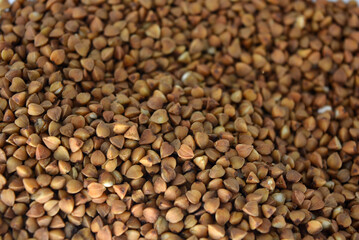 Fresh cereals, brown buckwheat risen in plastic container and white background with interesting lighting. 