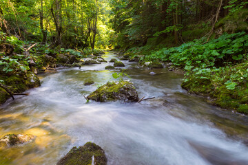 Mountain stream in the Tatra mountains