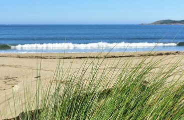 Beach with grass on sand dunes at famous Rias Baixas region. Muxia, Coruña, Galicia, Spain.
