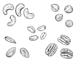 Hand drawn sketch black and white of nuts, peanuts, almonds, pecans, cashews, hazelnuts. Vector illustration. Elements in graphic style label, sticker, menu, package. Engraved style illustration.