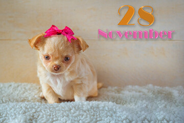 Children's calendar with a funny puppy  November 28.