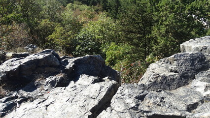 rocks in the mountains