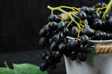 A bucket of black grapes with leaves on dark background