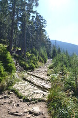 path in the mountains