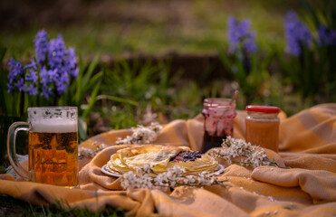 picnic in the spring season on the green grass in the flower garden. a pint of beer placed on the blanket next to a plate of pancakes with jam