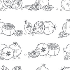 Pomegranate.  Vector sketch pattern.