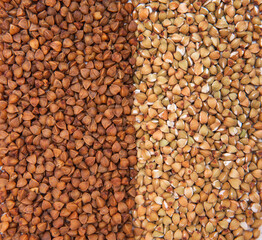 a mixture of cereals chickpeas, peas, lentils, mash, buckwheat laid out in a row on a white background close-up