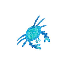 Watercolor crab decorated with white patterns. Blue and turquoise colors. Sea animal hand painted illustration on white background. Great for posters, mug decoration, scrapbooking.