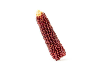 Fresh organic sweet purple corn pop food isolated on white