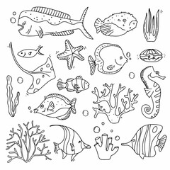 Sea life doodle set. Fisches and corals collection hand drown. Underwater elements in cute style.