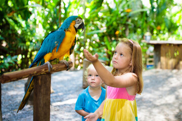 Kids feeding macaw parrot. Child playing with bird