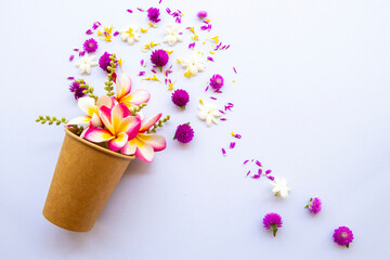 purple globe amaranth, jasmine, frangipani flowers in glass paper arrangement flat lay postcard style on background white