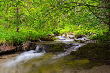 Fototapeta na wymiar Mountain stream in the Tatra mountains