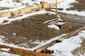 a dug garden and a planted tree seedling in the spring on a personal plot, the snow is melting