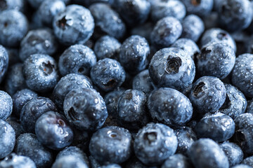 Fresh juicy blueberries background. Flat lay top view copy space. Healthy berry, organic food, antioxidant, vitamin, blue food