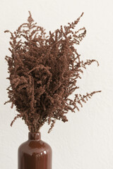 Close-up of dry brown grass on a white background in an old brown bottle. Dried Herb Bunch