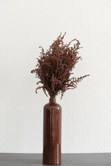 Close-up of dry brown grass on a white background in an old brown bottle. Dried Herb Bunch
