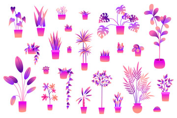 Neon flowers and plants in pots isolated on white