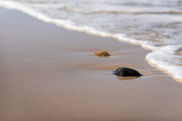 Rocks at a lonely beach on Sylt island Germany with waves on a summer day 