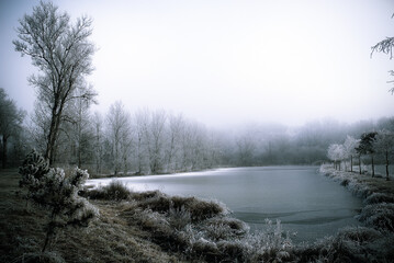 Obraz na płótnie Canvas lake in winter r gion rhone alps