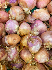 White onios in the market