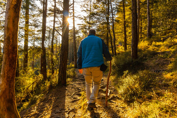 A young man in a blue jacket on a trek through the woods one afternoon at sunset. Artikutza forest in Oiartzun, Gipuzkoa. Basque Country