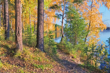 Autumn landscape, forest trees are reflected in calm river water against a background of blue sky and white clouds.