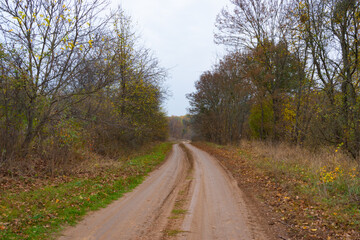 Fototapeta na wymiar Wonderful autumn landscape. A brown clay road leading into the forest