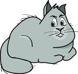 Cute fat grey cat