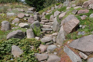 Steintreppe Steingarten Alpinum Botansicher Garten Rostock