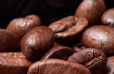 Fototapeta premium Macro photo of freshly ground coffee in electric coffee grinder.