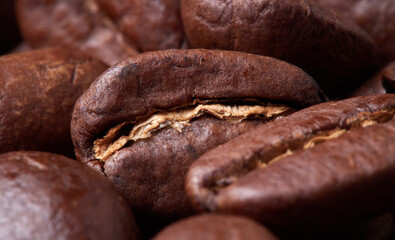 Macro photo of freshly ground coffee in electric coffee grinder.