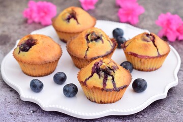 Baked blueberry muffins on white plate