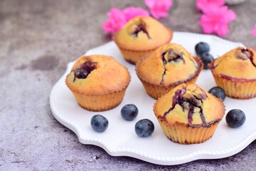Blueberry muffins on white plate decorated with pink flowers. Selective focus