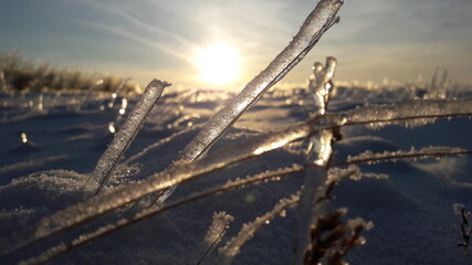 Obraz premium sun in winter