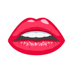 Female's lips. Red, sexy woman lips