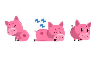 Set of Funny Pigs, Cute Farm Animal Character Cartoon Vector Illustration