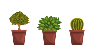 Set of Different House Plants, Green Potted Plants for Interior Home or Office Decor Flat Vector Illustration