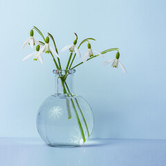 Snowdrops Bouquet in vase