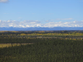 Obraz premium the view from the Alaska Route 2 state highway between the Alcan Border and Tok, Alaska, USA, September